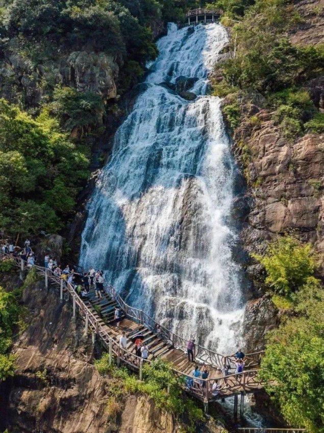 喝什么茶可以减肥去火游戏画面